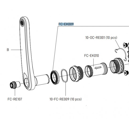 Campagnolo Pro-Tec Bearings & Seals 2pc Campagnolo Pro-Tec Bearings & Seals 2pc