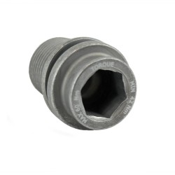 Campagnolo Ultra-Torque 11x Crank Fixing Bolt Campagnolo Ultra-Torque 11x Crank Fixing Bolt