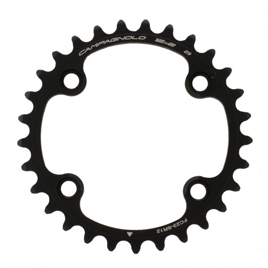 Campagnolo 29T Sup Rec WRL 12x for 45 Chainring & Bolts Campagnolo 29T Sup Rec WRL 12x for 45 Chainring & Bolts