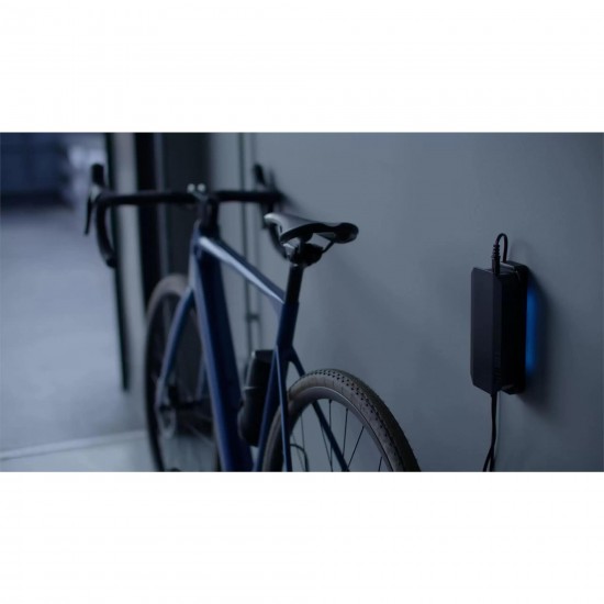 MAHLE X Active Charger with wall mount (X30/X20)