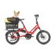 Tern Dog Roof Mini