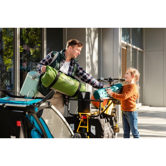 Tern Tail Hitch L