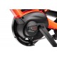 Tern HSD P10