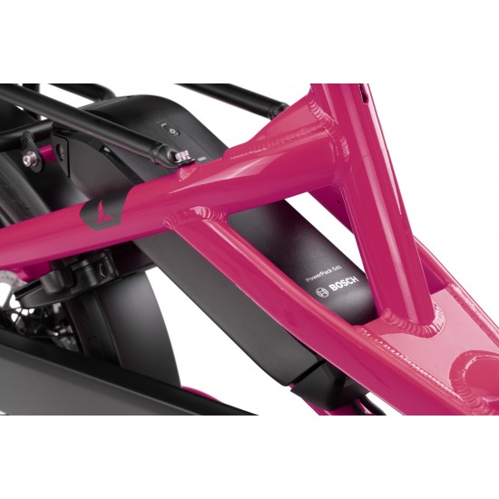 Tern HSD P5i