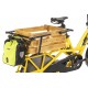 Tern Nitelite Rear Tern Nitelite Rear