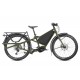 Tern Orox S12 (29")