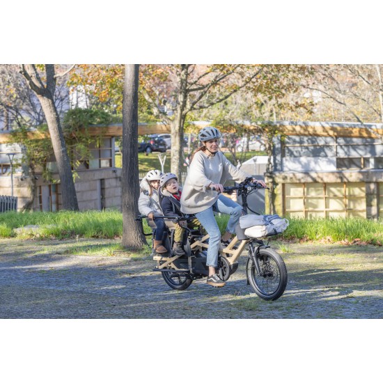 Tern GSD P10