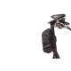 Tern RidePocket