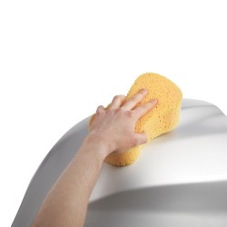 Oxford Jumbo Sponge Box of 12