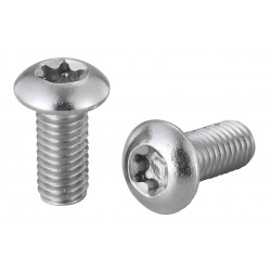 Elvedes 2015157 Torx Head Stainless Rotor Bolts - Set of 100