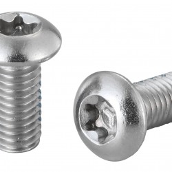 Elvedes 2015157 Torx Head Stainless Rotor Bolts – Set of 100