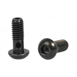 Elvedes Banjo Bolts M6 x 1 – CP2012104 2