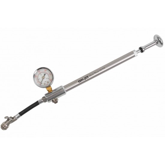 GIYO 21/300 AG Shock Pump