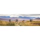 Focus Atlas 6.7 Gravel Bike 
